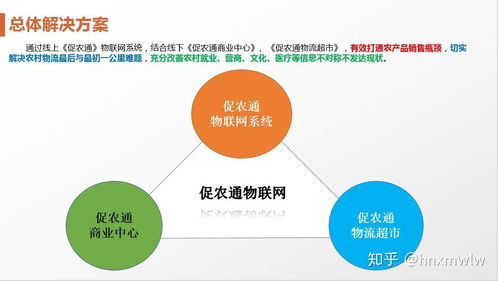 以物流带动,建立农村连锁超市,建立仓储,售卖生活必需品,收购农产品